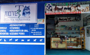 Jucivet Clinica Veterinaria