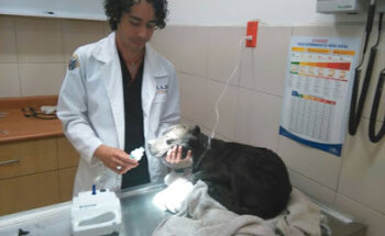 Centro Medico Veterinario 