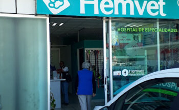 CLAUDIA RIOS CERVANTES