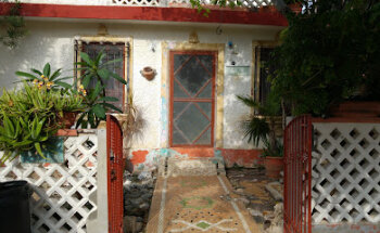 Unidad de atencion integral para mascotas