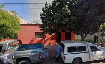 Veterinaria El Alazan Tostado