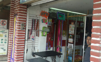 Mascotas y Accesorios