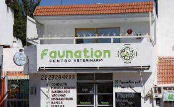Faunationvet