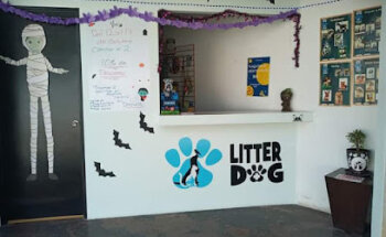 Litter Dog Estética Canina Profesional