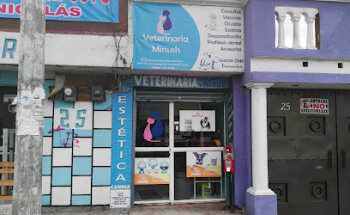 Veterinaria Minush