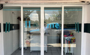 Home Servicios Veterinarios