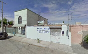 Clinica veterinaria LoVet