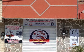 Dogtor - Veterinaria