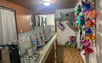 Garritas y Patitas city