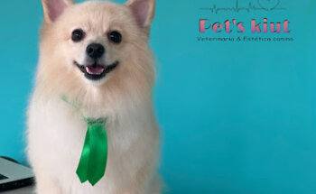 VETERINARIA & ESTÉTICA CANINA PETSKIUT