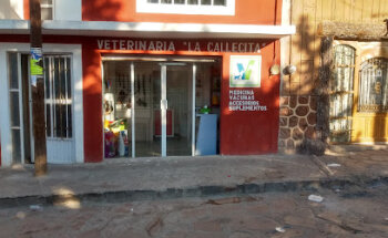 Veterinaria la callesita