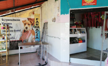 Veterinaria franquez