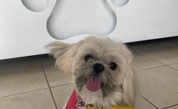 Dogue Veterinaria & Grooming Spa