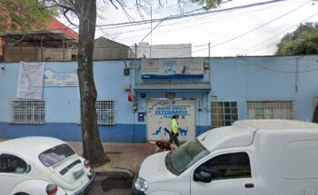 Venta de Gelipet en Vet Fajardo