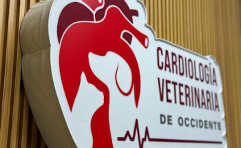Cardiología Veterinaria de Occidente