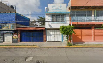 Venta de gelipet en Vet. Xolotl