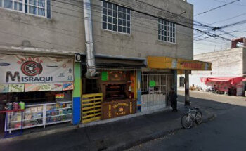 Estética Canina Marley