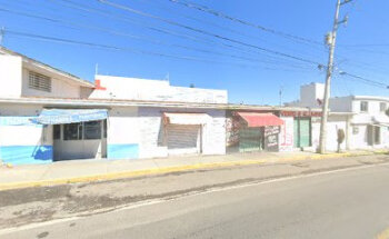 Estética y Veterinaria Canina Camis