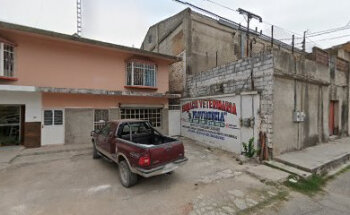 Farmacia Veterinaria 