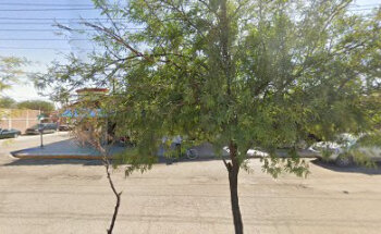 Veterinaria Figueroa