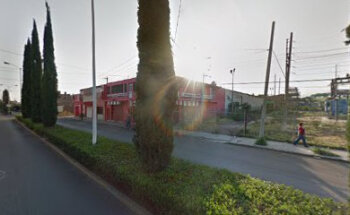 VETERINARIA Y FORRAJES BETANIA