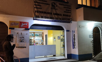Veterinaria animal world