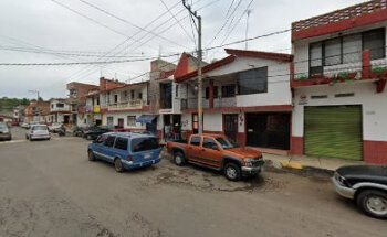 Veterinaria Siglo XXI