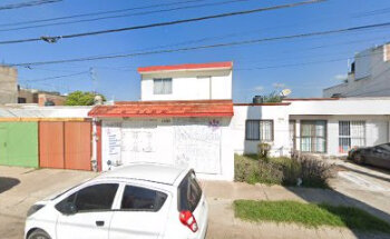 Veterinaria Petite Vet