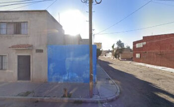 Estetica Veterinaria Perrucho