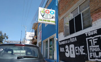 ZOO Vet (ZOO Hospital)