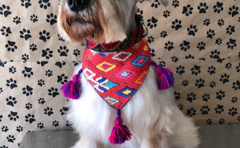 VETERINARIA HERNÁNDEZ