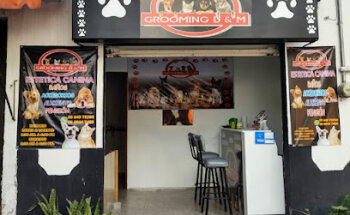 Veterinaria y estética canina Grooming D&M