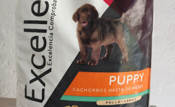 Veterinaria X'balamké