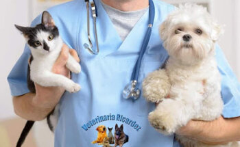 Veterinaria Ricardez