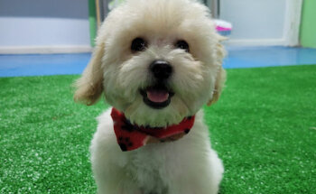 ???????????????????? ???????????? ????????????????????????????