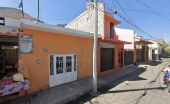 Veterinarios Para Mascotas Sector Privado