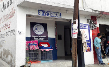 Veterinaria Villatoro