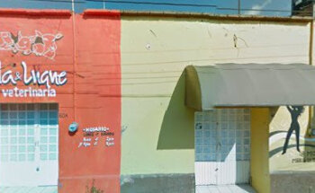 VETERINARIA PINEDA & LUQUE