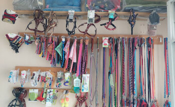 Veterinaria Happy Paws