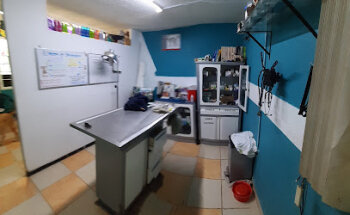 Consultorio Veterinario Niki