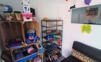 Centro Veterinario Okochí