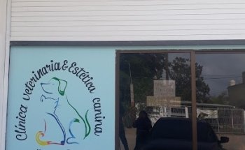 Clinica Veterinaria 