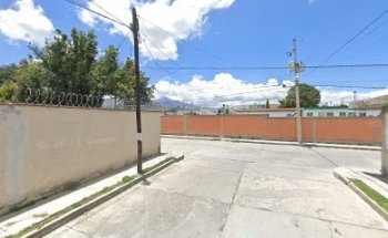 Vet world consultorio veterinario