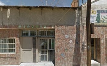 Medicina Veterinaria Especializada