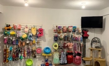 Lagopets veterinaria