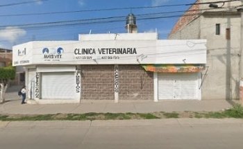 MASVET CLINICA VETERINARIA