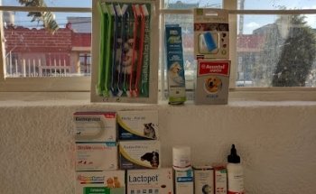 Clínica Veterinaria 