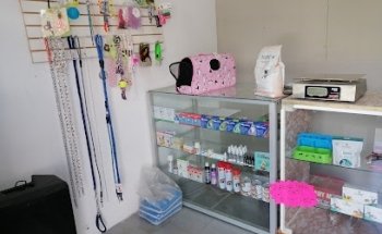 Clínica Veterinaria Xólotl