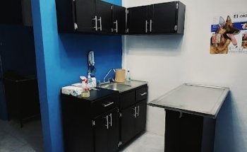 Clinica Veterinaria Artvet