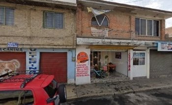 Veterinaria Mascotas